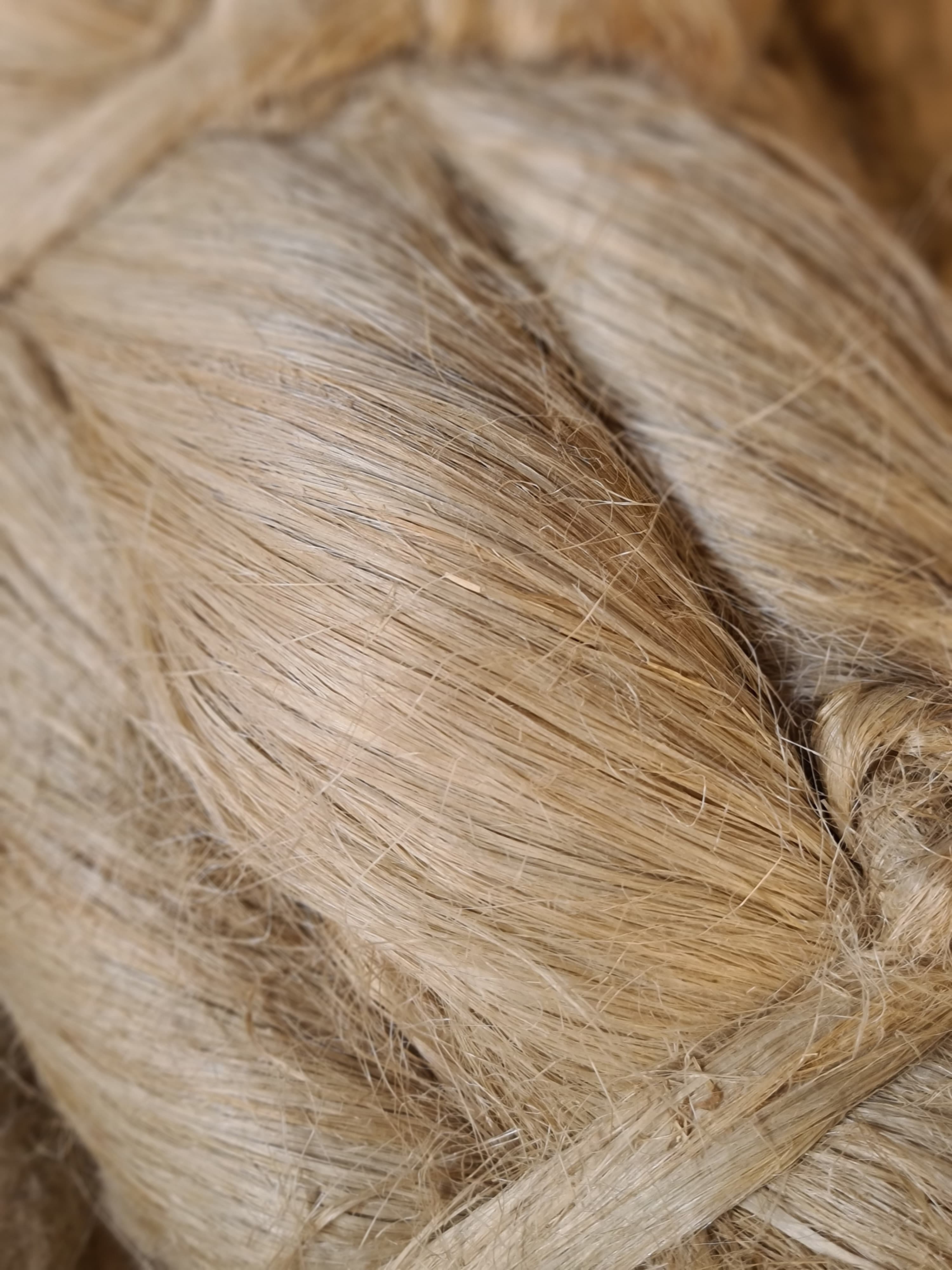 Egyptian scutched flax fiber